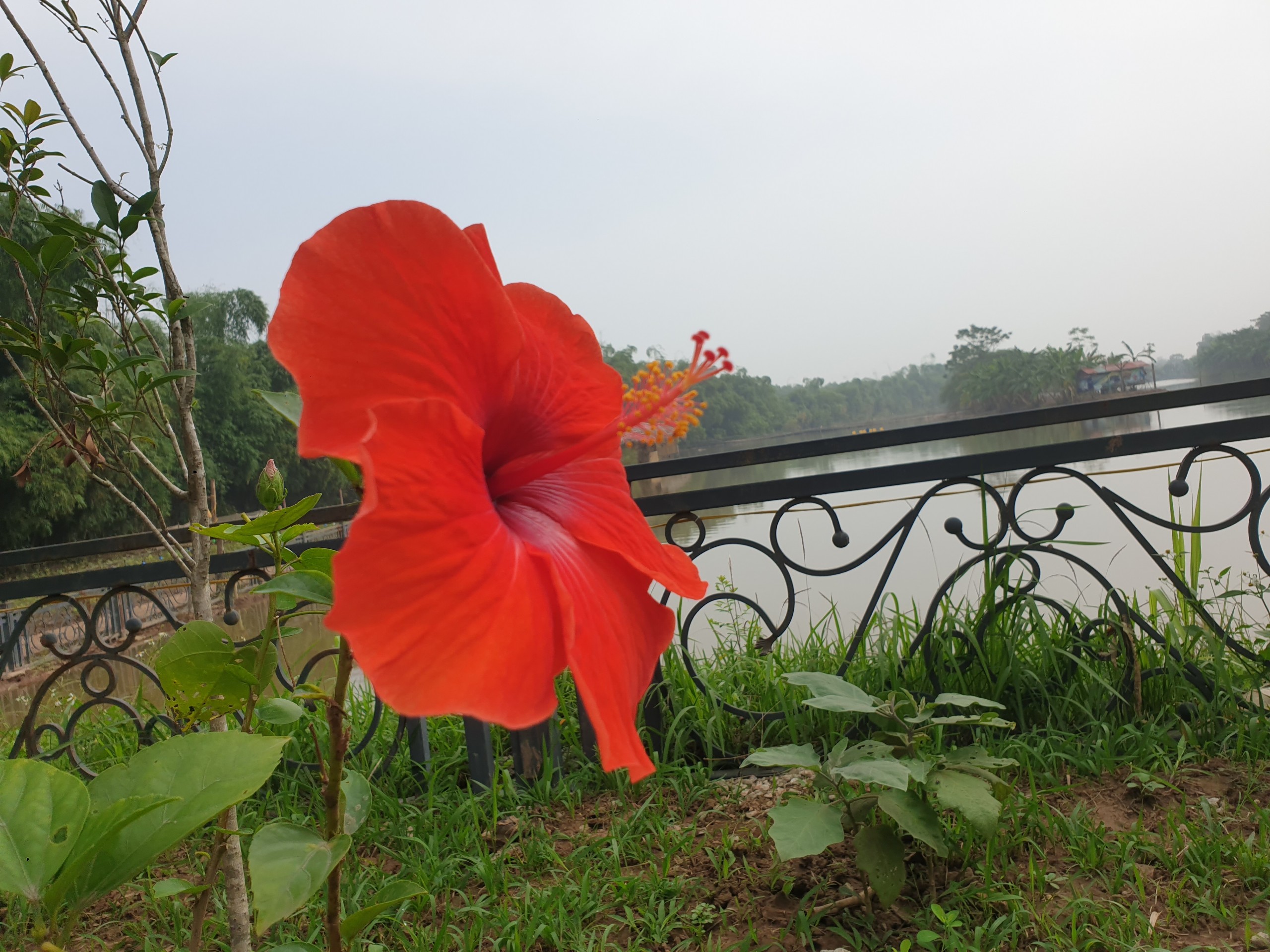 Trải Nghiệm Ăn Chơi nghỉ "Trên Cả Tuyệt Vời " tại  Khu Sinh Khắm Khen -Trong khuân viên của FLC  Vĩnh Thinh